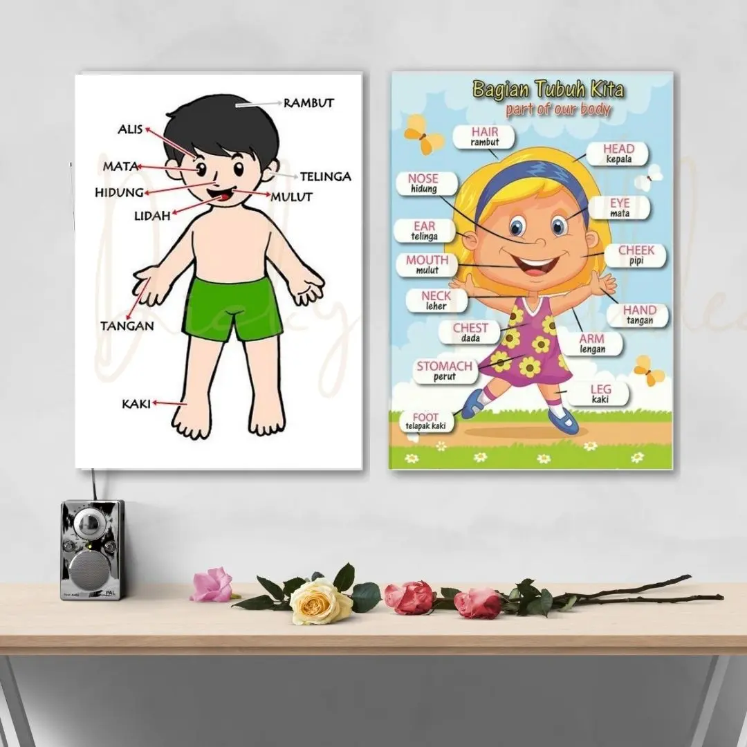 (BISA COD) HIASAN DINDING PENGENALAN ANGGOTA TUBUH BAHASA INGGRIS / EDUKASI BELAJAR ANAK / HIASAN DINDING SEKOLAH TK