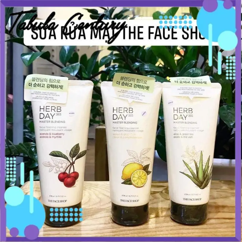Sữa Rửa Mặt The Face Shop Herb Day 365 Cleansing Foam - Tabula Century - Tabula Century