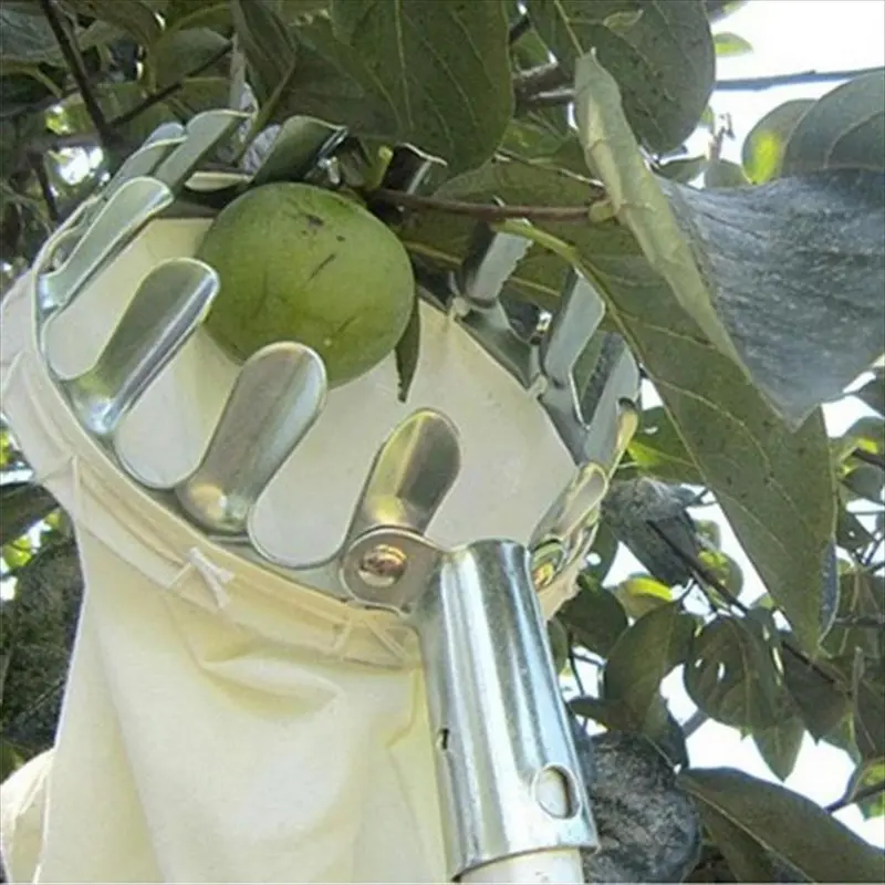 Alat Petik Buah Logam  Pertanian Kebun 1