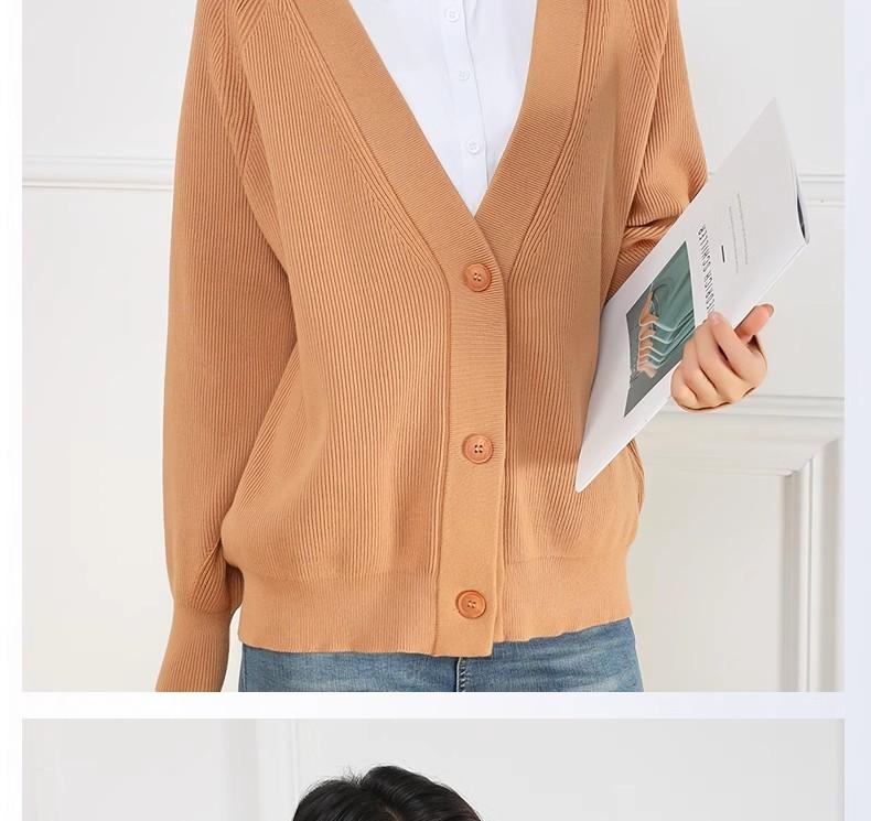Product Introduction of Spring, autumn and winter versatile fake collar women's shirt shirt solid color new bottom fake collar Korean version fashion inner fake collar 3