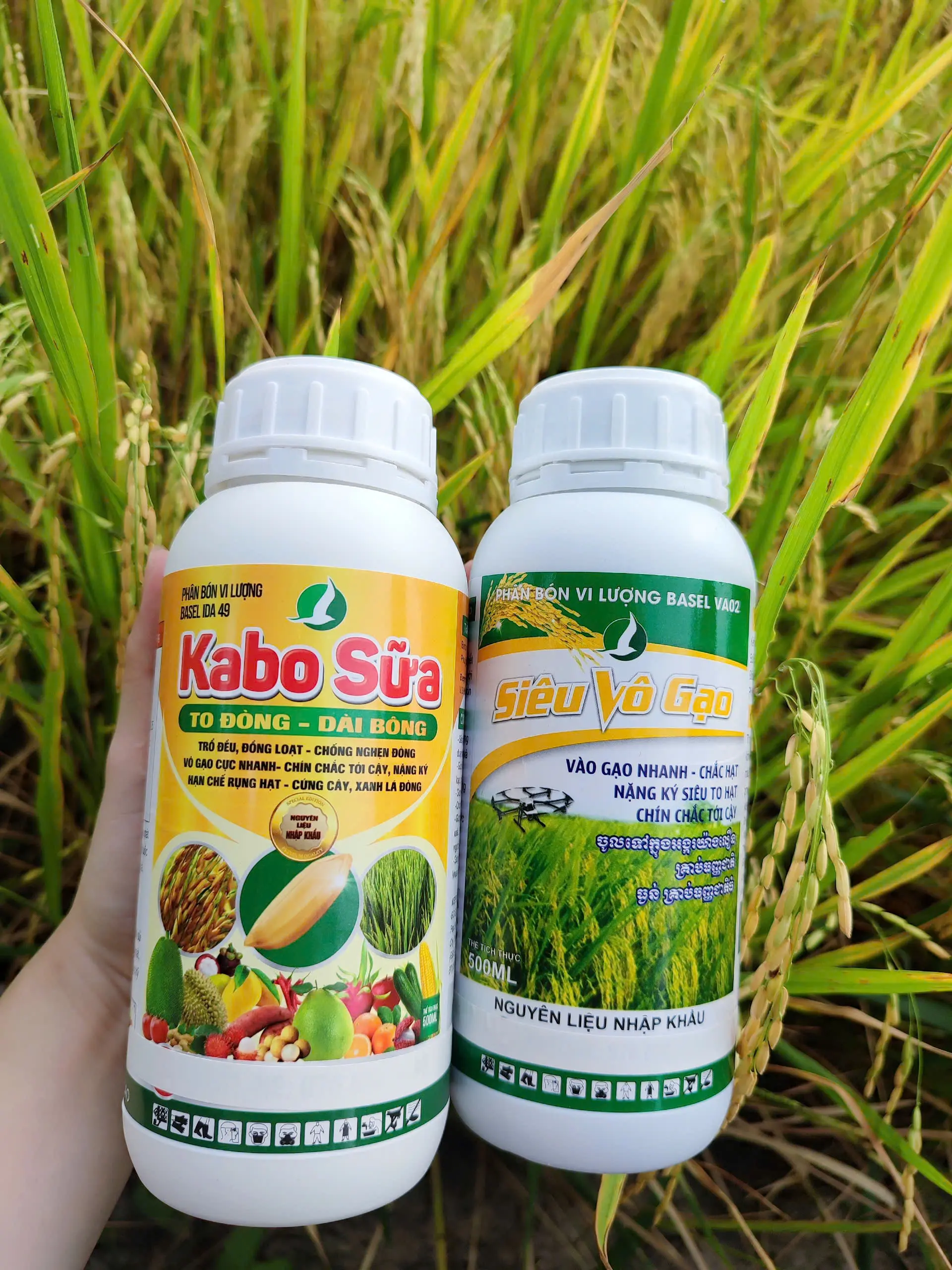 COMBO 2 CHAI TO ĐÒNG, DÀI BÔNG, VÀO GẠO NHANH, NẶNG KÍ - CỬ ĐÒNG + TRỔ - PHUN 5.000M2