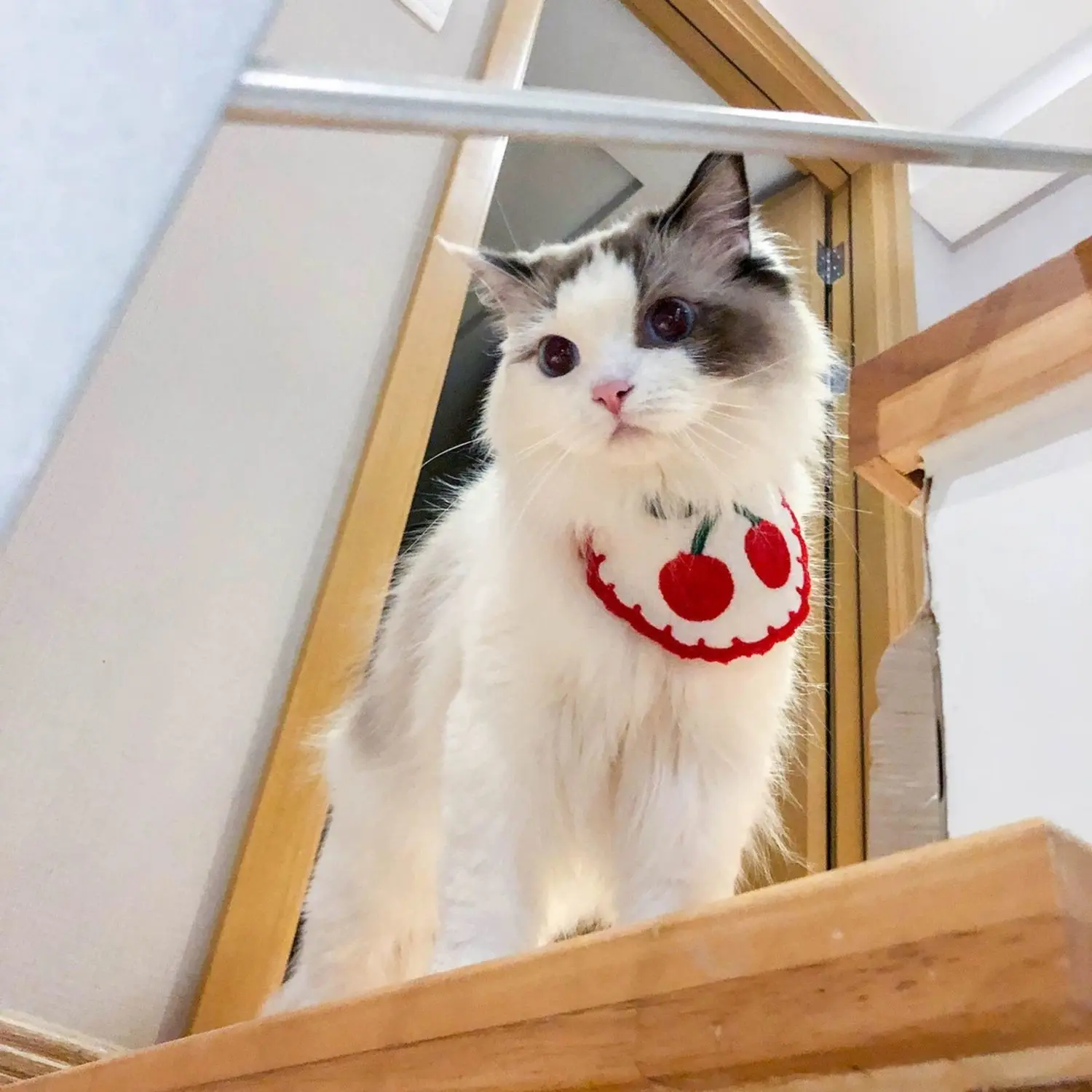 Pet supplies for small dogs and cats, such as a bib or a bandana for spring and summer, suitable for both cats and dogs