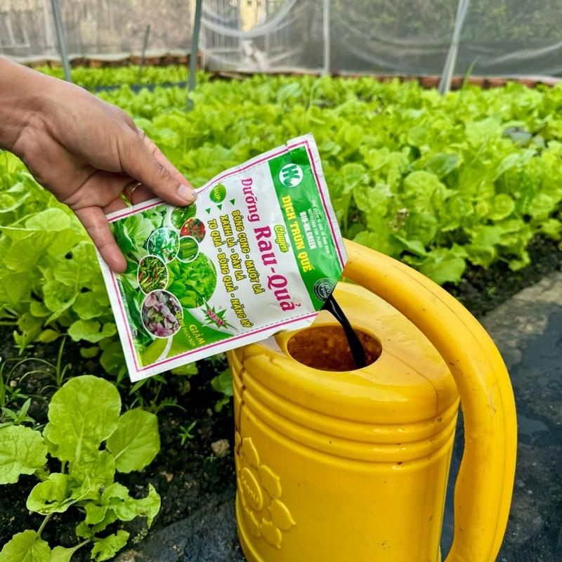 Túi 100ml dinh dưỡng trùn quế dùng cho rau củ quả. 1