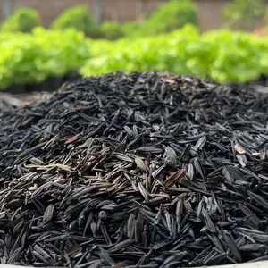 500 gram - Media Tanam SEKAM BAKAR untuk hidroponik dan organik