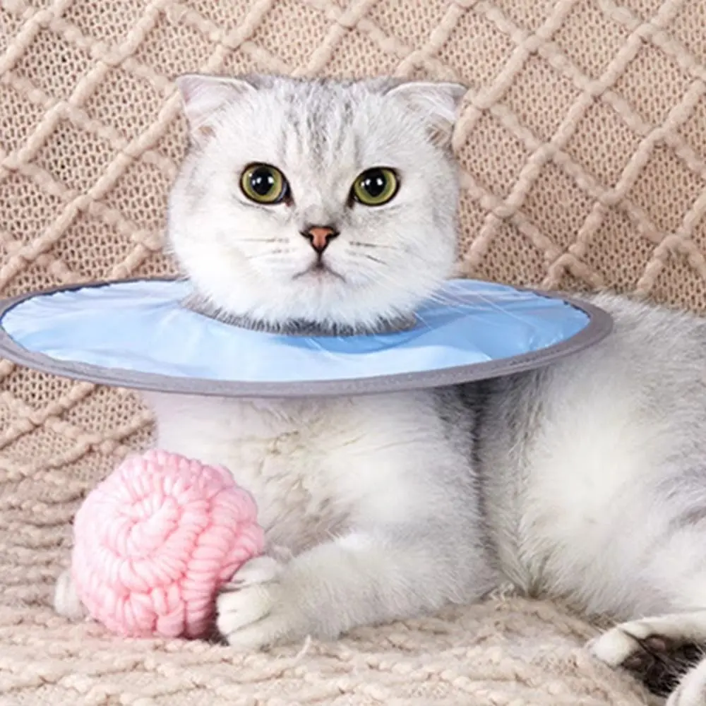 Pet Recovery Headband Adjustable Cat Anti-licking Circle Anti-Slip Lightweight Pet Cone Collar Protective Comfortable Pet Recovery Cone Cat
