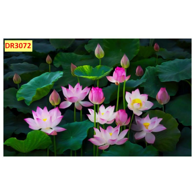 Tranh dán tường 3d tranh hoa sen vàng in vải lụa hoặc decal keo sẵn Treo Tường Decor Phòng