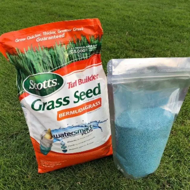 Benih biji rumput jepang - bibit biji rumput jepang 10gram - biji rumput golf Pupuk