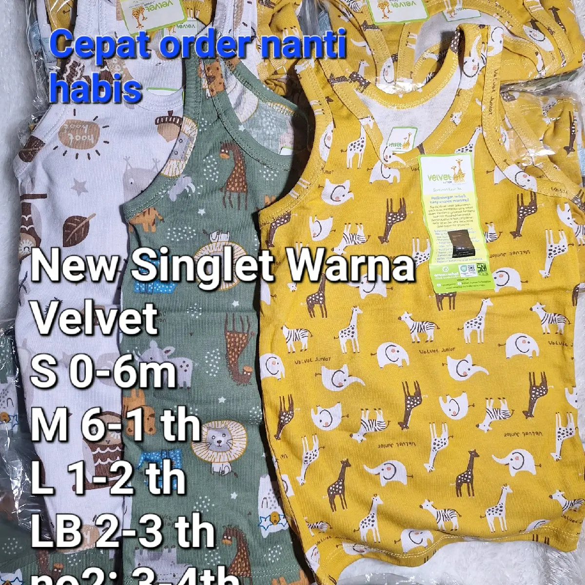 Velvet - 3 pc Singlet Warna