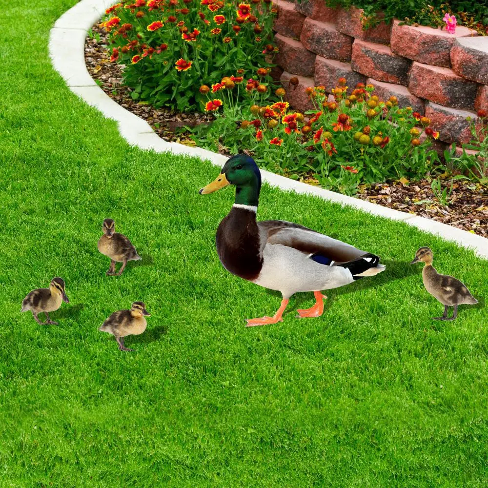 4 Pieces - Metal Iron Art Realistic Rooster, Duck Garden Stake, Garden Decoration Insert, Suitable for Garden Decoration