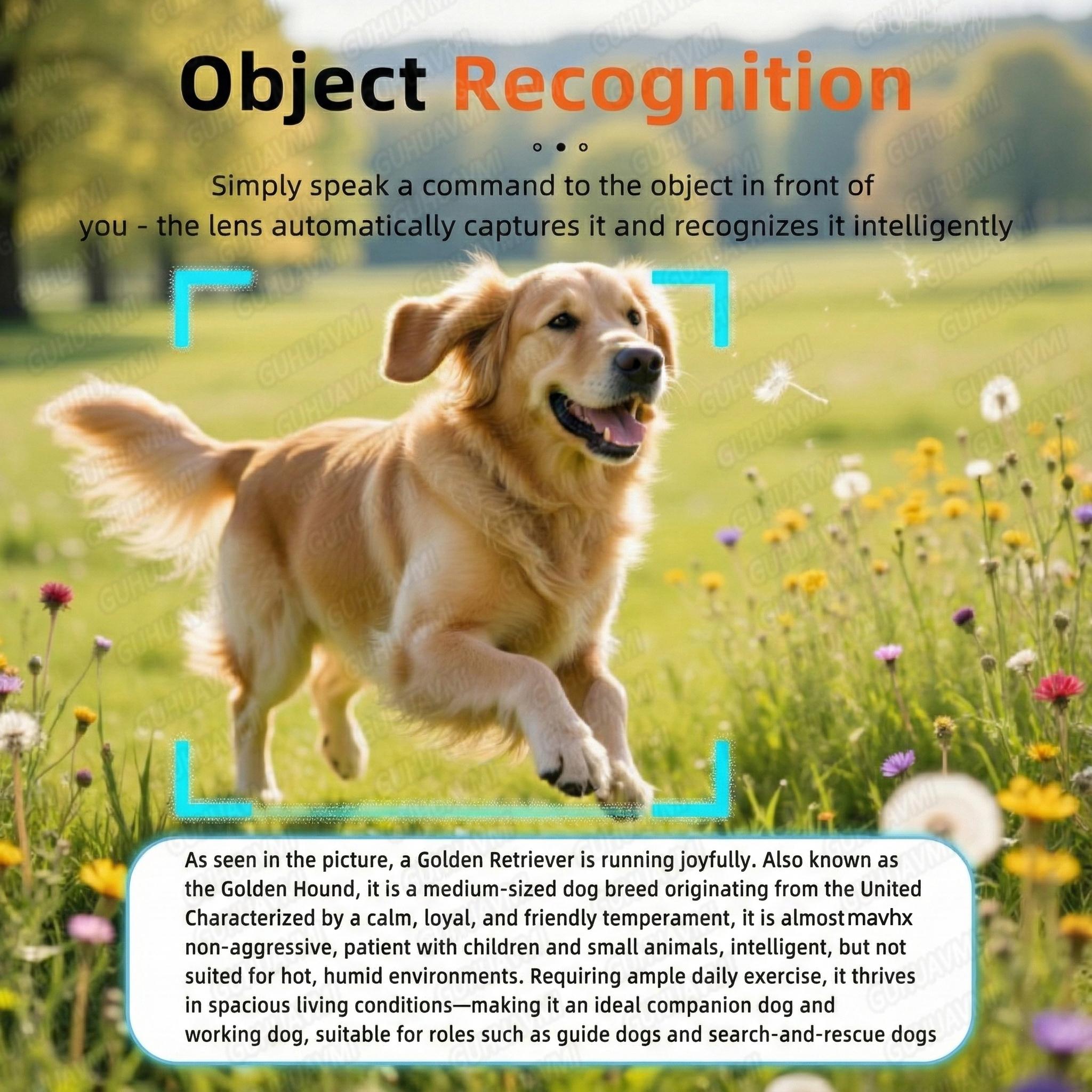 Outdoor Sports Camera Glasses 32GB Built-in Memory 1200P Recorder Bluetooth Headset Polarized Lens Hiking Cycling Drive Smart - Image 4