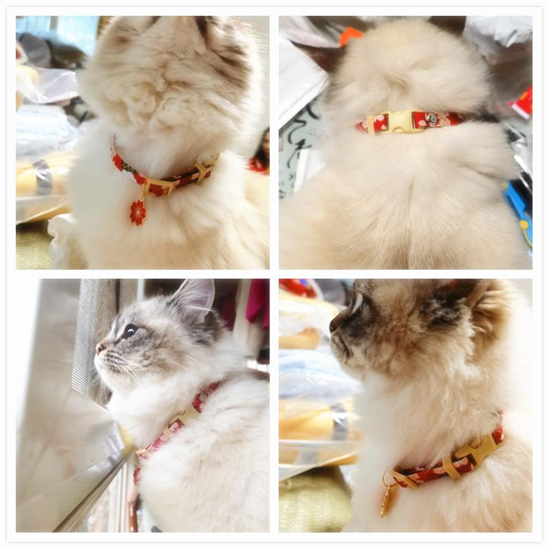 Japanese Sakura Personalized Dog Choker Tags Engraved Glitter Puppy Cat Collar Pendant Pet Collar Pet Accessories Paw 5