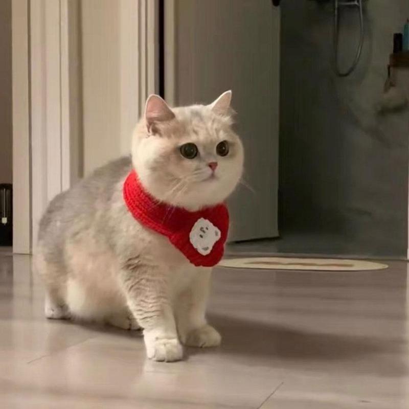 Product Introduction of Cat New Year's Bib Dog Comparison Scarf Pet Accessory 18