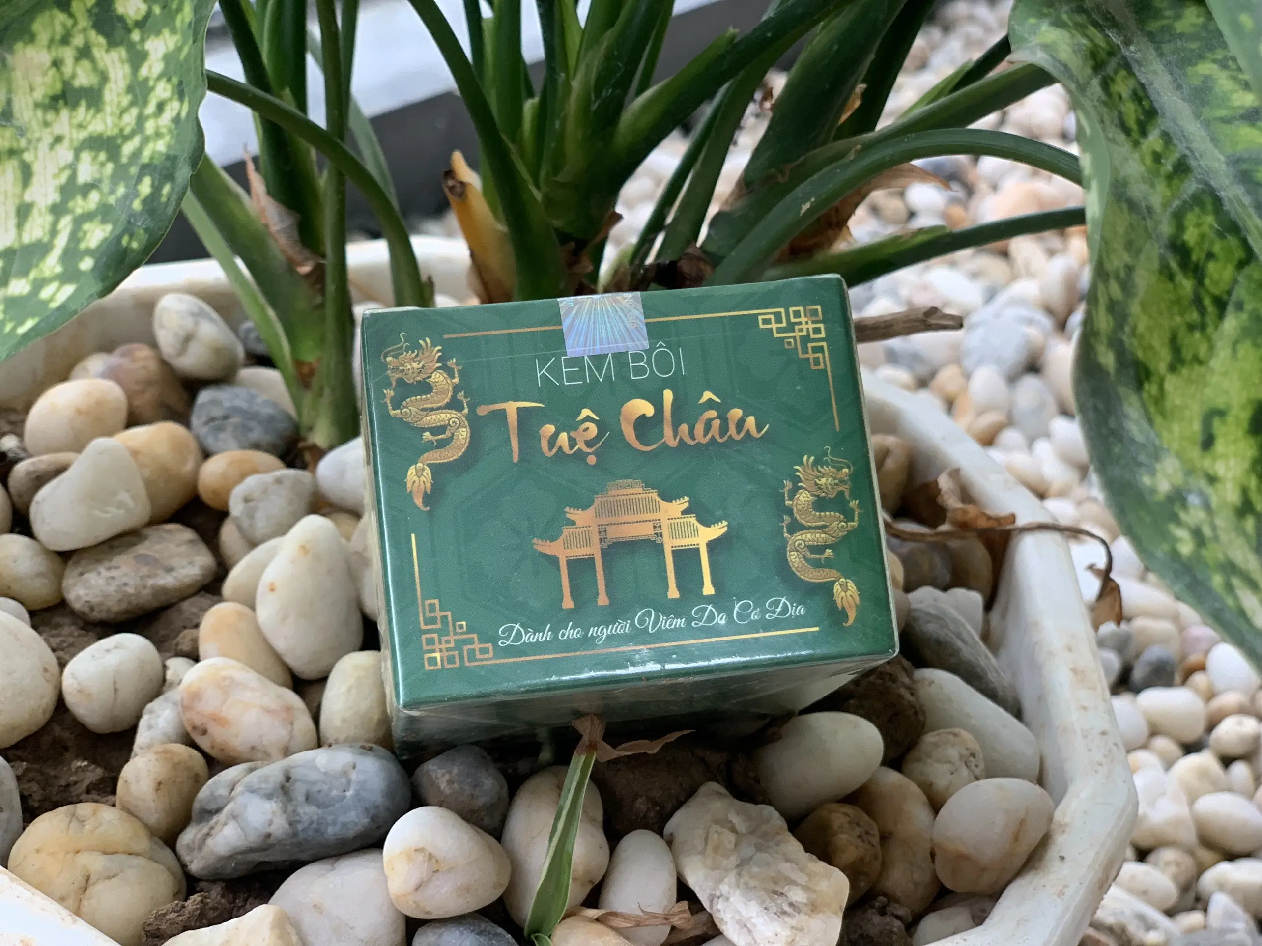 Viêm Da Cơ Địa Tuệ Châu Hỗ Trợ Giảm Dị Ứng, Giảm Mẩn Ngứa, Giảm Nấm Da Đầu Hiệu Quả (50Gr/hộp)