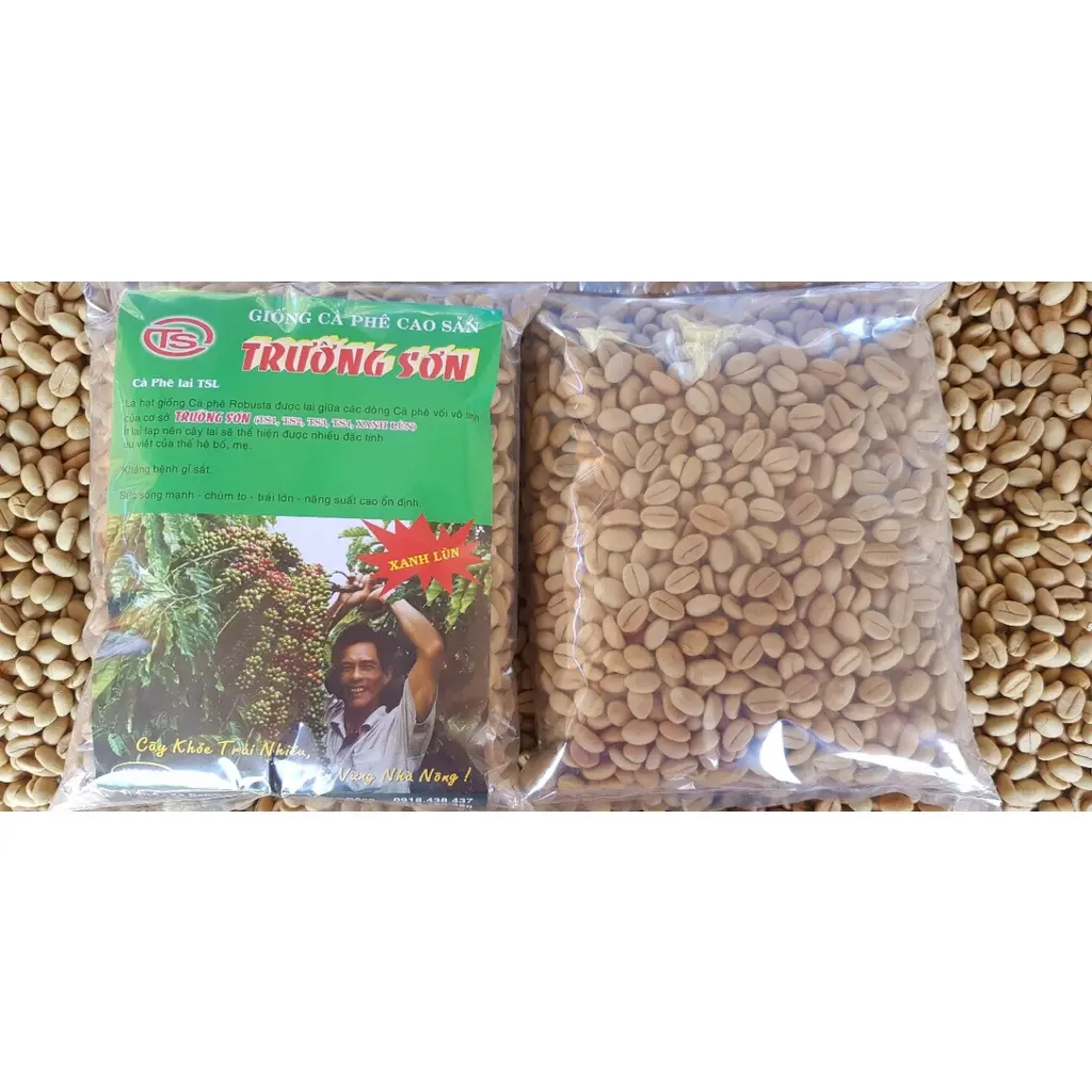 1 KG Hạt giống Cây Cà Phê Xanh Lùn [ Trường sơn TS5 ] [ Cao sản ] HẠT TUYỂN CHỌN [ freeship xtra + hoàn xu + ]