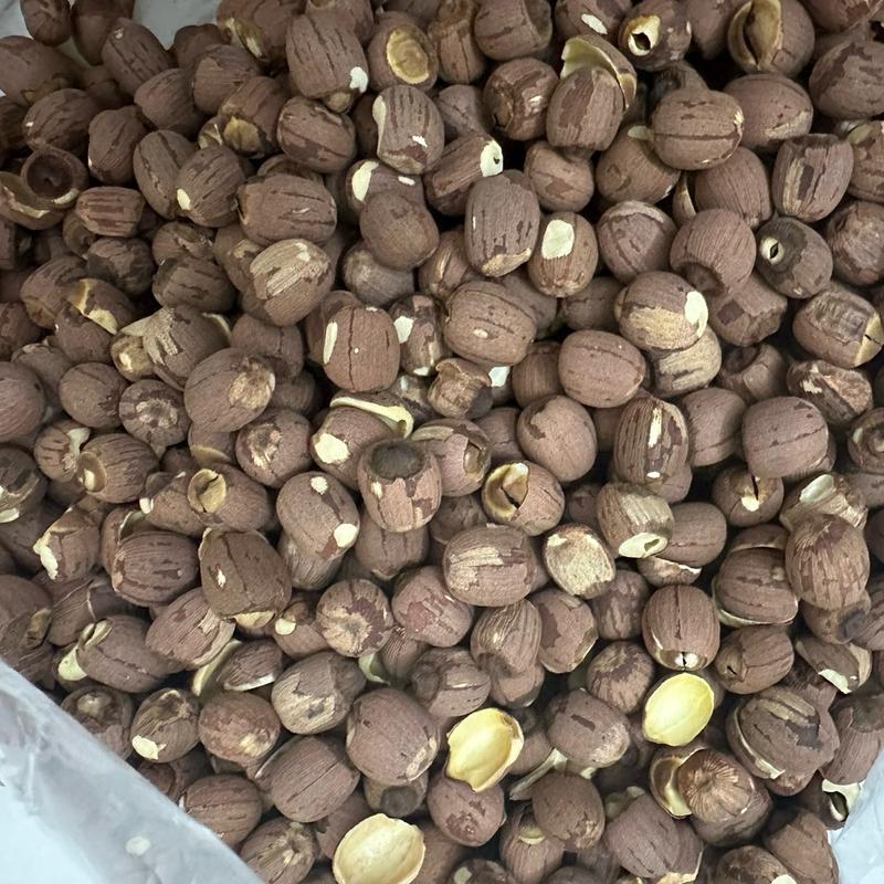 Hạt Sen Lứt Rang Đồng Tháp - Sản Xuất Từ Hạt Sen Tươi, Không Chất Bảo Quản, 500g - Food 2