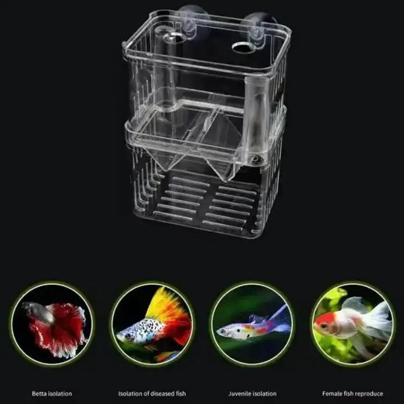 Hộp Ấp Cá Con, Acrylic Hai Lớp, Tự Nổi, Hộp Ấp Chim Công, Hộp Ấp Cá Đuôi Dài, Hộp Cách Ly, Thích Hợp Cho Cá Chiến Đấu, Trại Cá 6