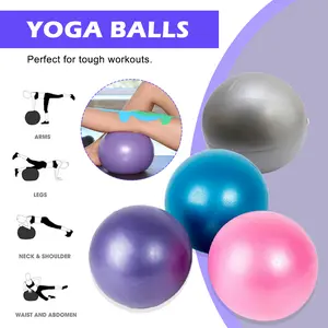Bola Yoga 25cm Anti Selip dan Tahan Ledakan untuk Pilates dan Kebugaran, Berbahan PVC Aman, Ringan dan Mudah Dibawa, Tersedia dalam 4 Pilihan Warna Menarik
