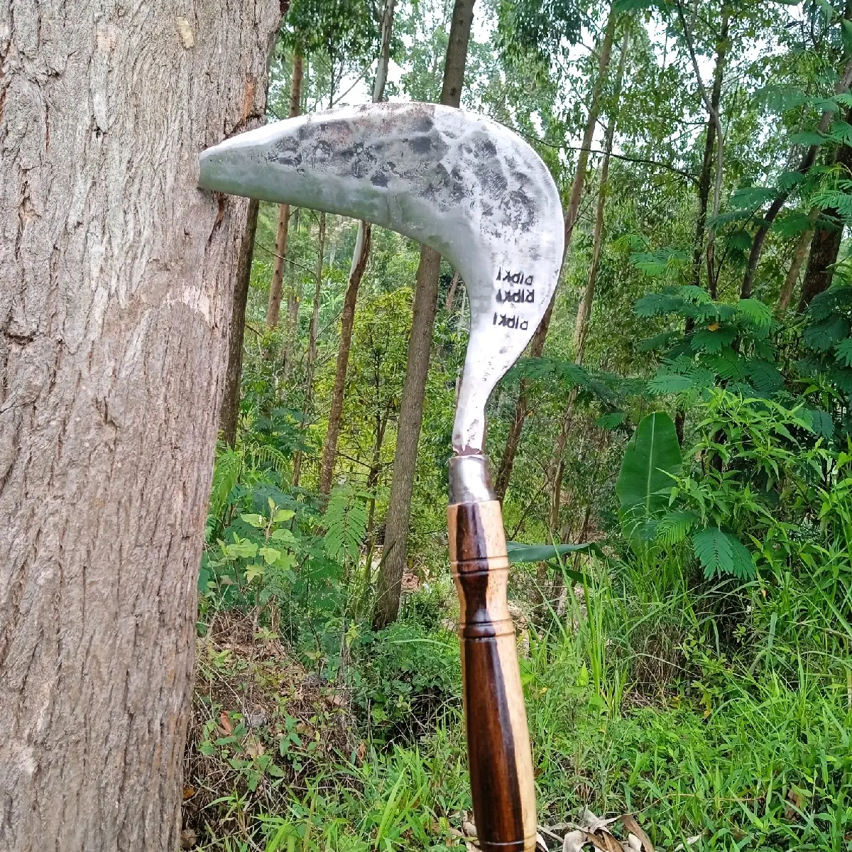 Alat Tani Arit Rumput Baja Asli Berkualitas