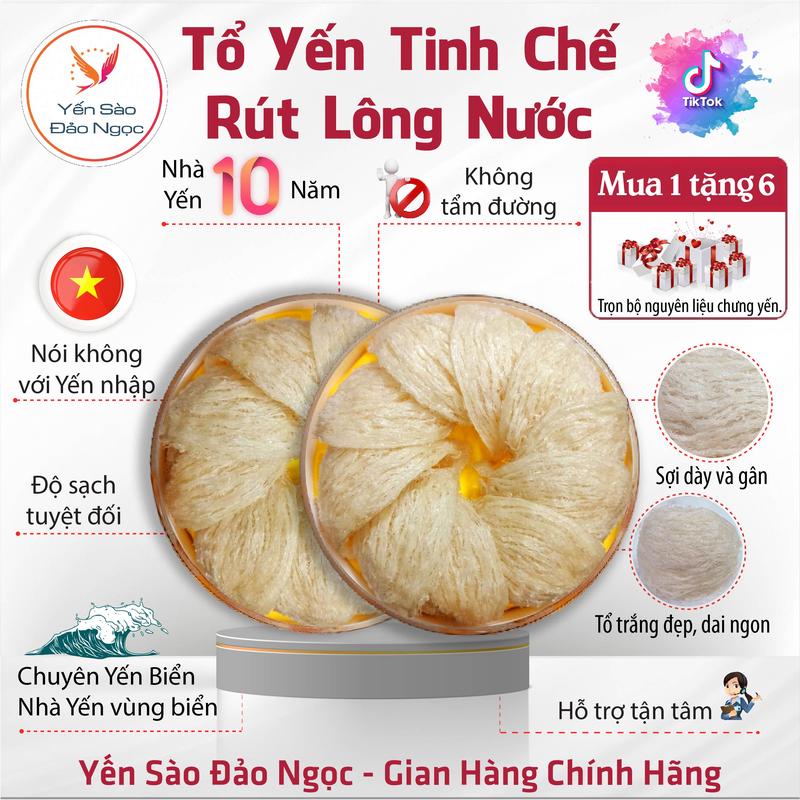  200gr Tổ Yến Rút Lông Nước - Yến Biển - Thương Hiệu Yến Sào Đảo Ngọc 