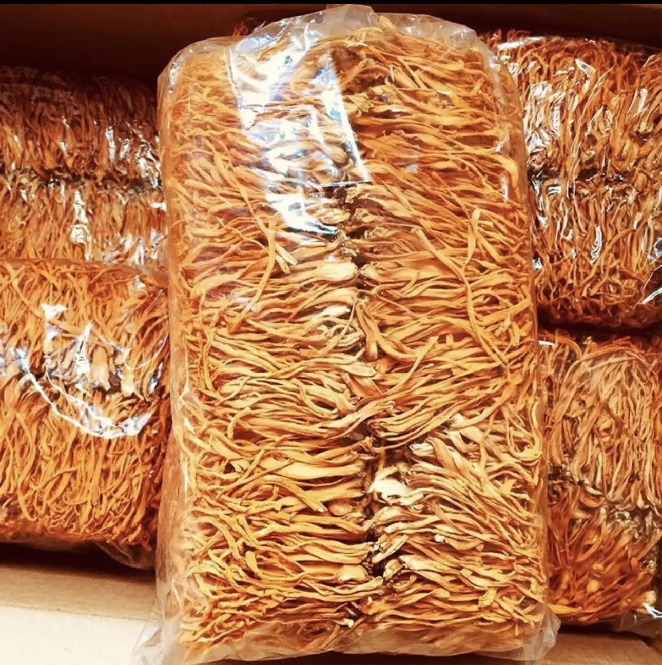 Nấm Đông Trùng Khô - Đông Trùng Hạ Thảo Sấy khô