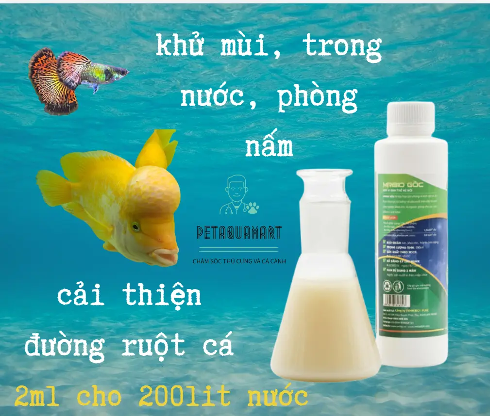 Vi sinh gốc siêu đâm đăc lam trong nươc cho hồ cá cảnh Mr Bio Gốc