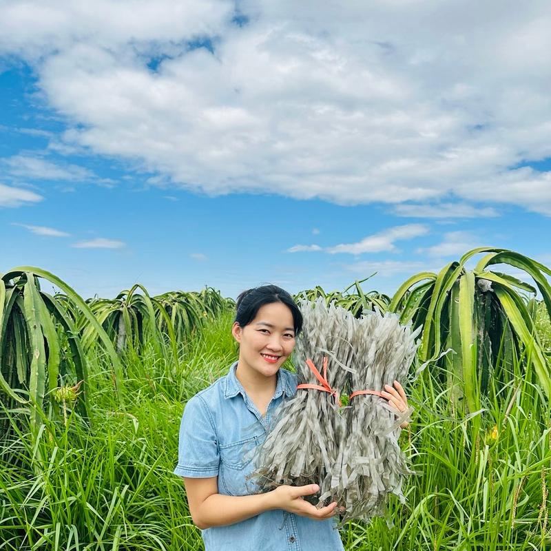 Combo 2kg miến dong sợi to - Đặc sản Tây Bắc Food Sen Chè Thức Ăn miến  dẹt Hạt Sen miến  dẹt