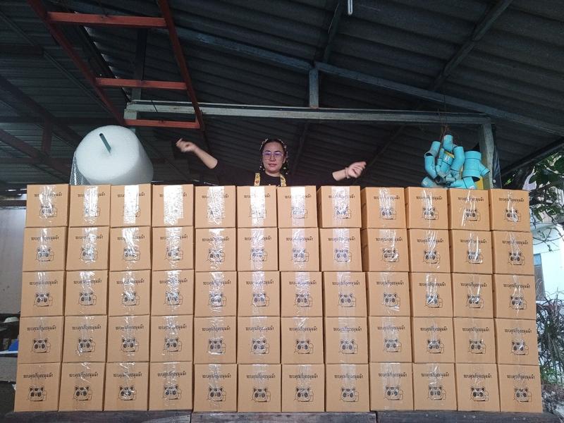 Product Introduction of ป้าต้อยหนังไก่ทอดกรอบรสดั้งเดิม1000 กรัม 30