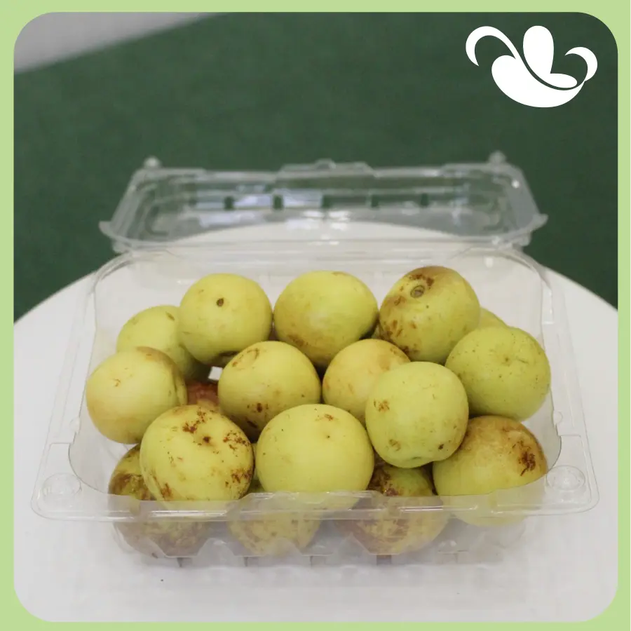 Cicin Garden - Hồng Táo - Hộp 500gr