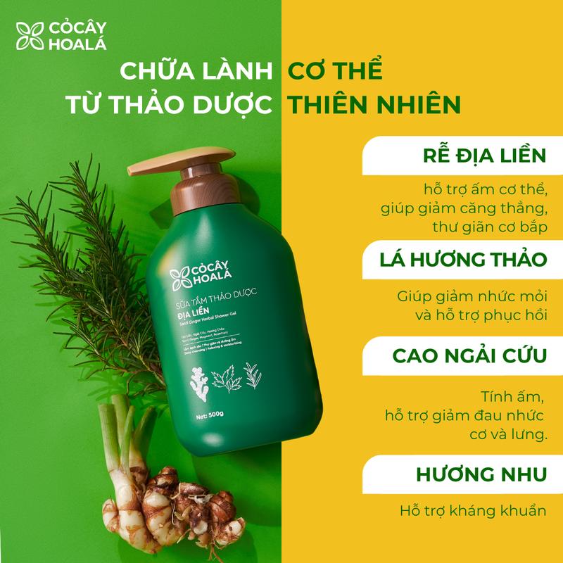 Sữa Tắm Thảo Dược Địa Liền Cỏ Cây Hoa Lá, Hương Thơm Tỉnh Thức Mọi Giác Quan 500g - Tặng Túi Dầu Gội Gừng Sả 30g 4