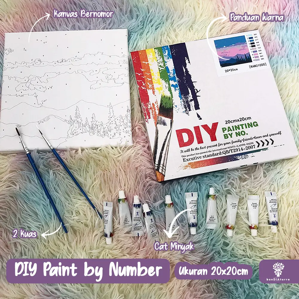 Bandiaterra DIY Paint by Number KIT 20 X 20 (Painting by Number)