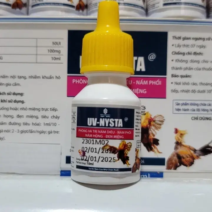 UV - NYSTA Chai 10ml Cho Gà Đá Nấm Diều, Nấm Phổi, Nấm Họng, Đẹn Miệng