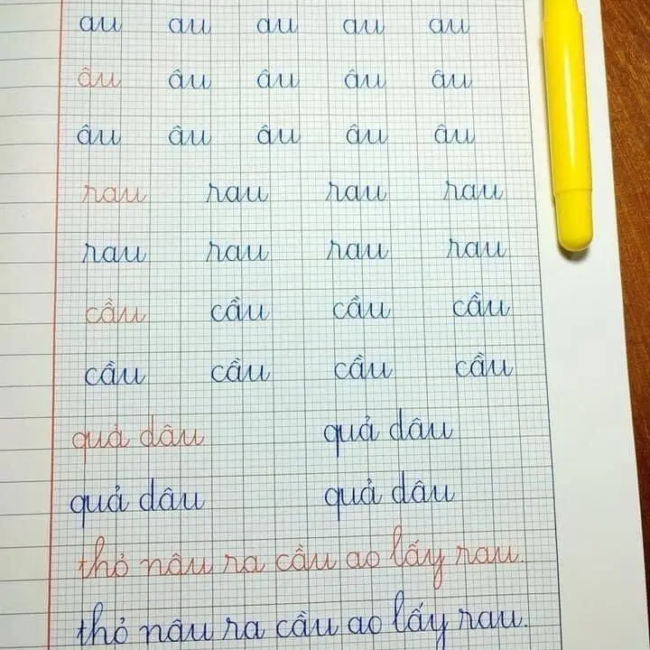 Bút cd202 - Ngòi mài nét mảnh - Thích hợp viết bài thường ngày và luyện chữ đẹp, vỏ nhựa nhẹ, ngòi mài thủ công 4