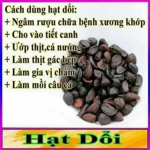 100 gr hạt dổi Tây Bắc