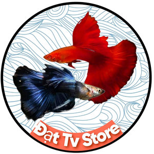 Đạt Tv Store