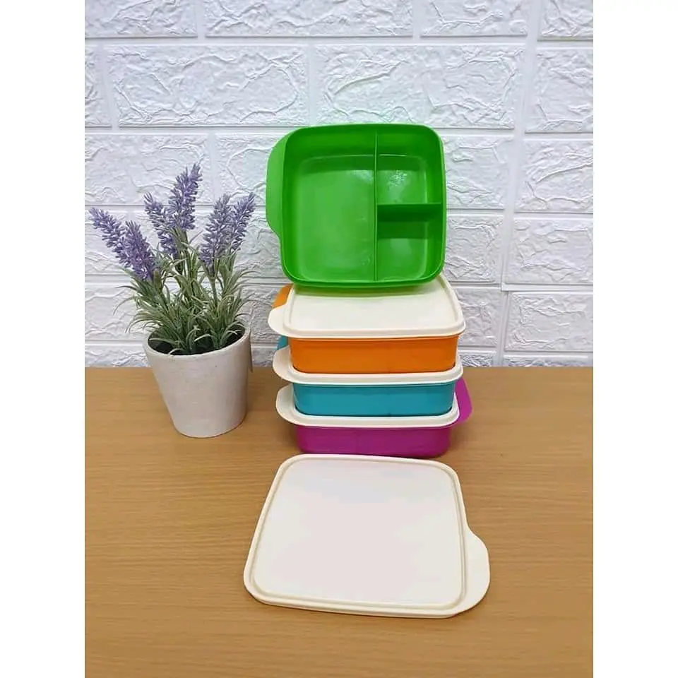 Lunch Box Warna Warni