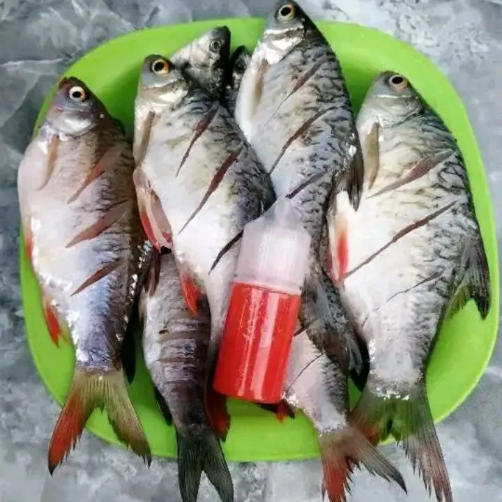 Essen tawes sangat ampuh 1