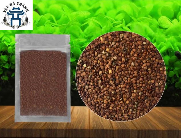 Combo Đất Nền + Hạt Giống Trân Châu Lá Nhỏ Cho Bể Cá Cảnh, Bể Thủy Sinh