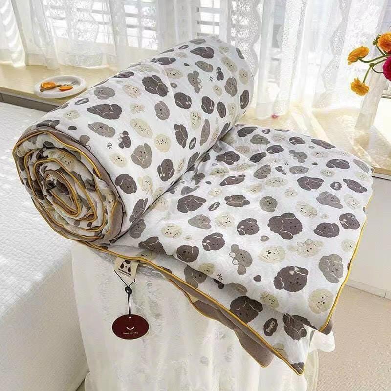 Chăn cotton đũi hàn quốc kích thước 2mx2m3nhập khẩu , Mền hè đũi cotton chất liệu mềm mại thoáng mát mẫu mới 2023 6