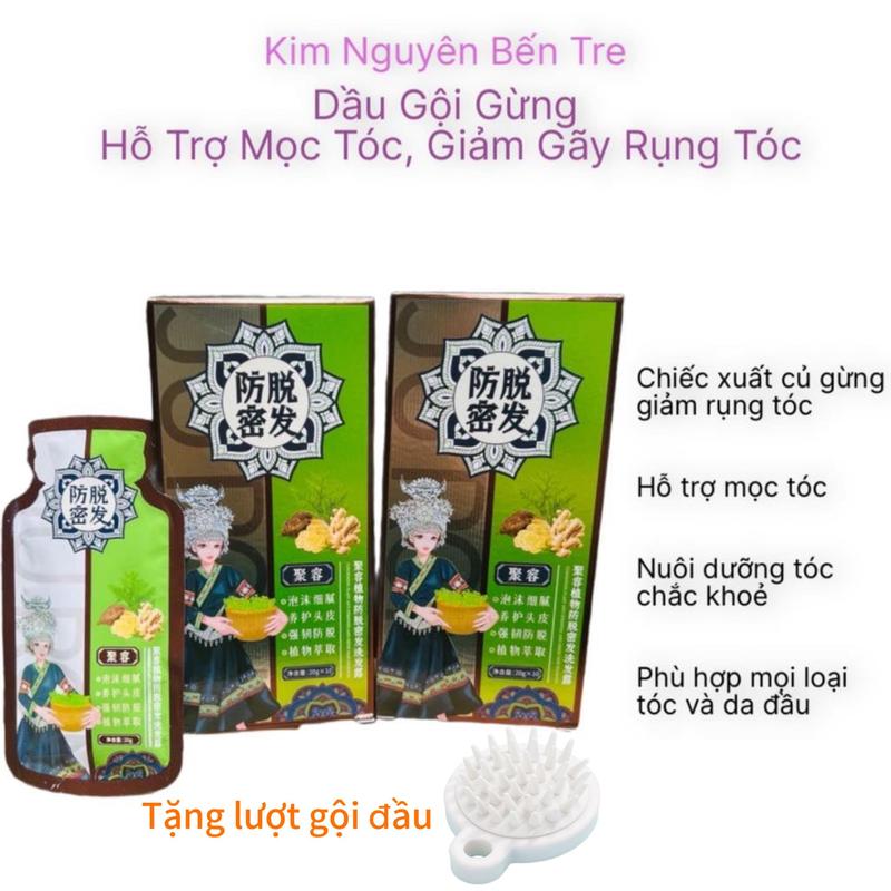 [ Combo 2 Hộp ] Dầu Gội Chiết Xuất Gừng Hỗ Trợ Giảm Rụng Tóc, Hỗ Trợ Giảm Gàu Và Nấm Ngứa Da Đầu, Hỗ Trợ Mọc Tóc Giúp Tóc Mềm Mượt ( Hộp 10 Gói ) Tặng kèm lượt gội đầu
