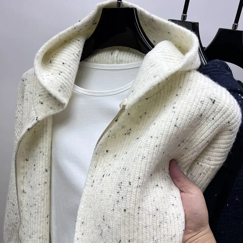 Áo Cardigan Dệt Kim Có Mũ Trùm Đầu, Dáng Rộng Và Thường Ngày Hợp Xu hướng, Áo Len Sợi Màu, Dành Cho Nam, Hàng Mới Về Thu Đông 2024 Menswear