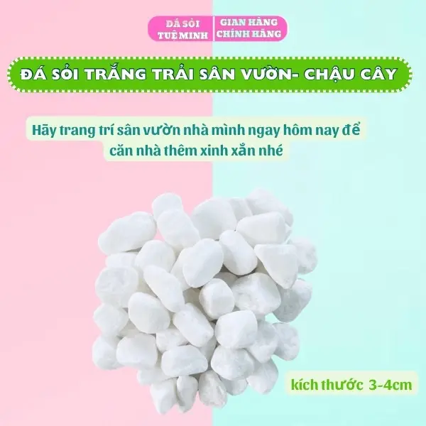 Đá Sỏi Trắng Trang Trí Chậu Cây, Hồ Cá, Trải Sàn Nhà, Trang Trí Sân Vườn, Quán Cafe, Sỏi Trắng Đẹp thuỷ  sinh 2