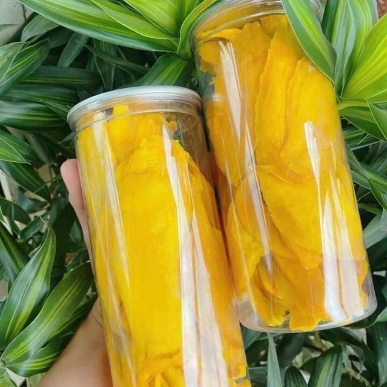Xoài sấy dẻo 500 gr