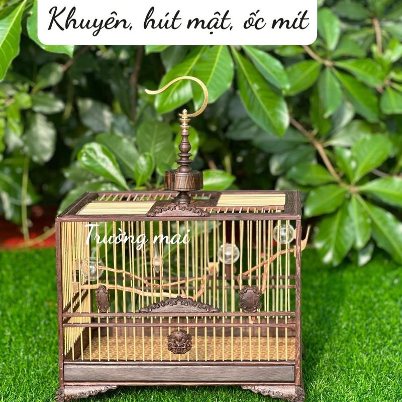 Khung lồng TỰ RÁP lực đẹp cho KHUYÊN, HÚT MẬT, ỐC MÍT gỗ mun đuôi công, nan tre lá đề viền ( kt 23x28x35)