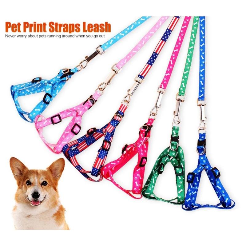 Set Dây xích ngực chó mèo thú cưng chống trầy cổ vai