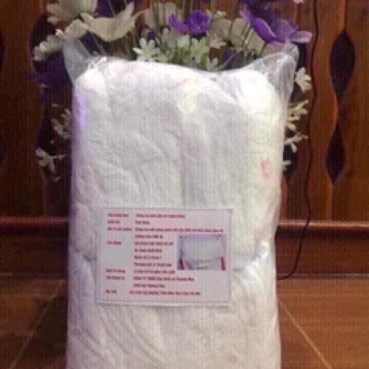 1 Bịch 50 Băng Vệ Sinh Dạng Quần Enjoy Baby Có Túi Bọc Từng Miếng Size 30-100kg