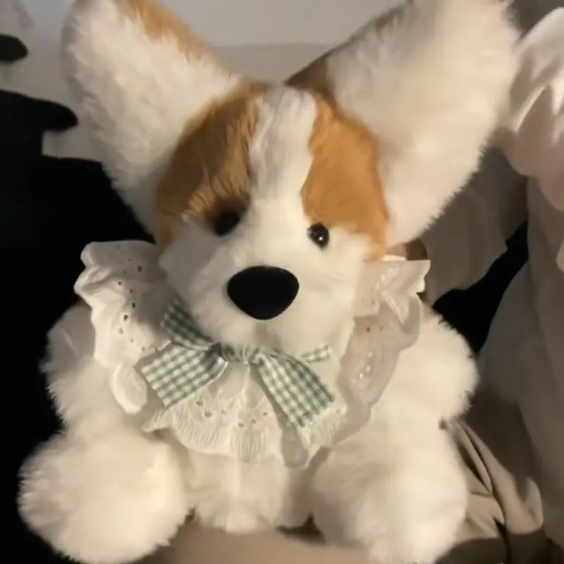 Bộ Set Gấu Ghi Âm Giọng Nói Tự Làm - Cún Corgi, Phụ Kiện Đầy Đủ, Quà Tặng Handmade Dịp Noel, Tết - Diy, Kèm Video Hướng Dẫn - Baggu DIY 4