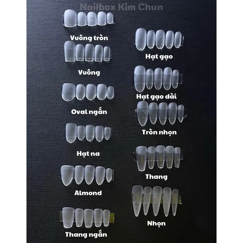 CT01: Nailbox thiết kế Tết 2025 (charm Lân đủ màu NGẪU NHIÊN) form tròn nhọn 3