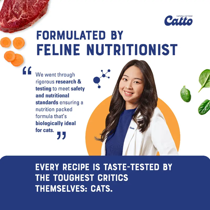 Catto Cat Food - Kitten Starter Pack Bundle 50gr x 10 pcs | Natural Wet Cat Food | Makanan Kucing Basah Daging Natural 5