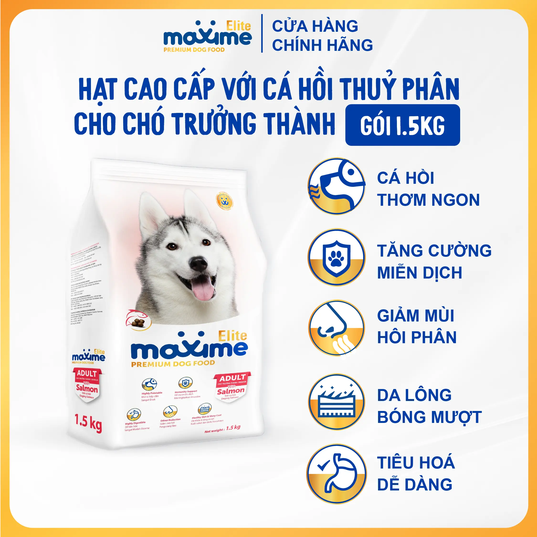 Hạt Maxime Elite Cá Hồi Thủy Phân Cao Cấp 1.5Kg Cho Chó Trưởng Thành - Tối Ưu Tiêu Hóa, Hạn Chế Dị Ứng
