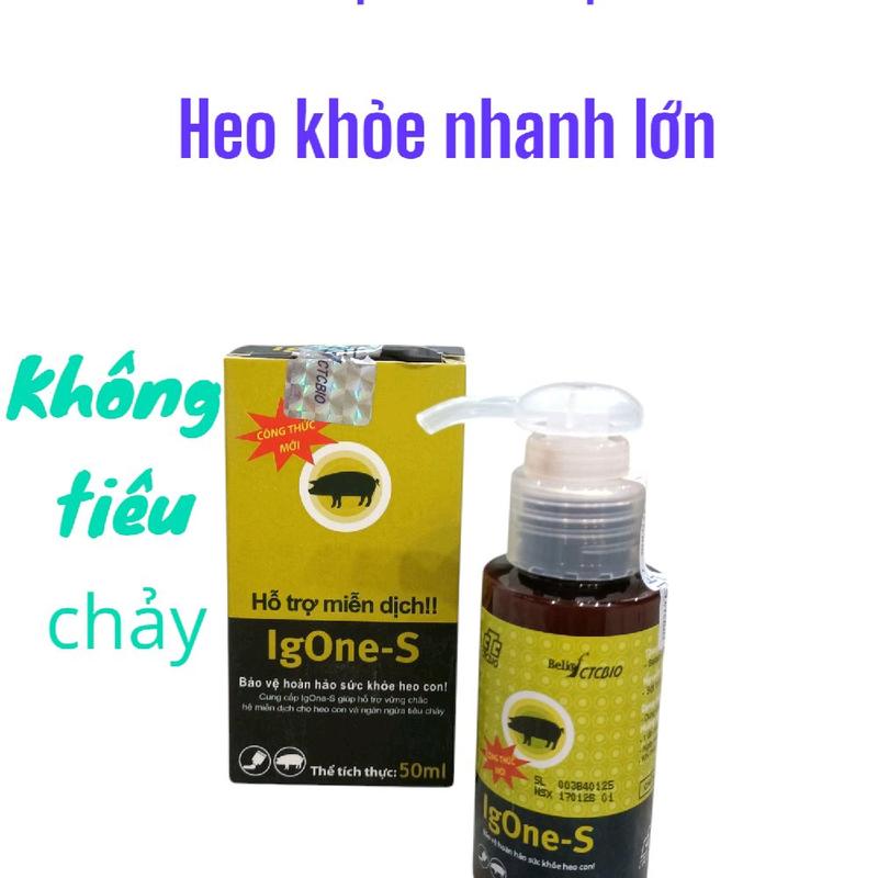 Kháng thể heo con bảo vệ heo con không tiêu chay 0